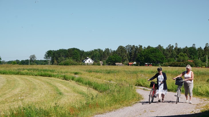 Två kvinnor kommer gåendes med cyklar längs en grusväg mellan två åkrar.